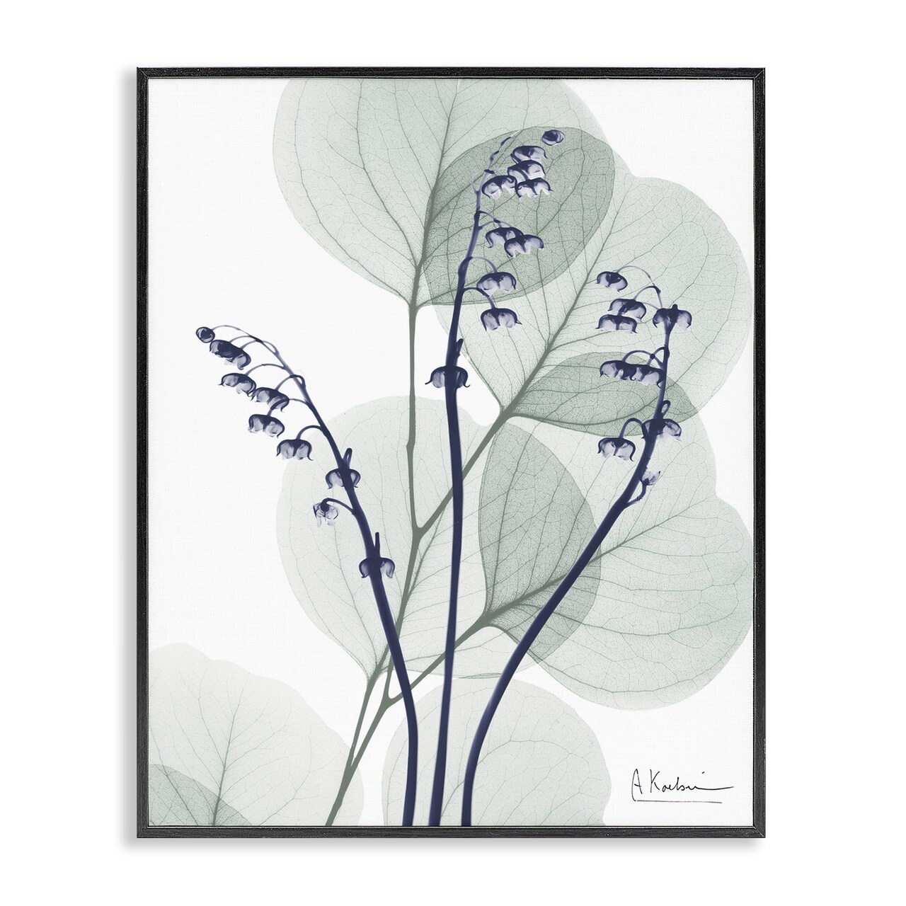 Stupell Industries Serene Modern Eucalyptus Framed Giclee Design by Albert Koetsier